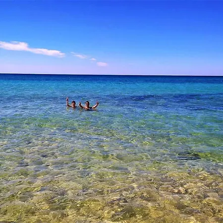 فيلة Montalto مارودجو
